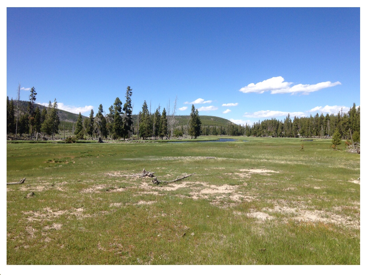 'Lamar Valley' Copyright Andrew Hodgson 2013