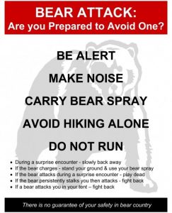 The Bear Warning signs in the Park.